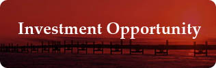 Investment Opportunity banner